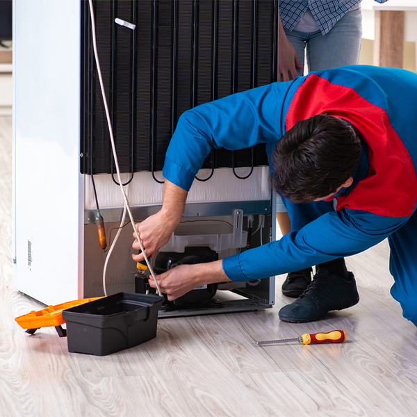 what are the common refrigerator repair services in Blackwood